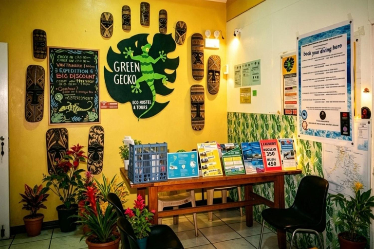 Food & Drinks, Screaming Gecko Hostel Air-Con, Coron
