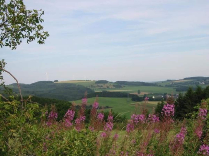 Surrounding environment 3, Feriendorf Reinskopf in der Eifel, Eifelkreis Bitburg-Prüm