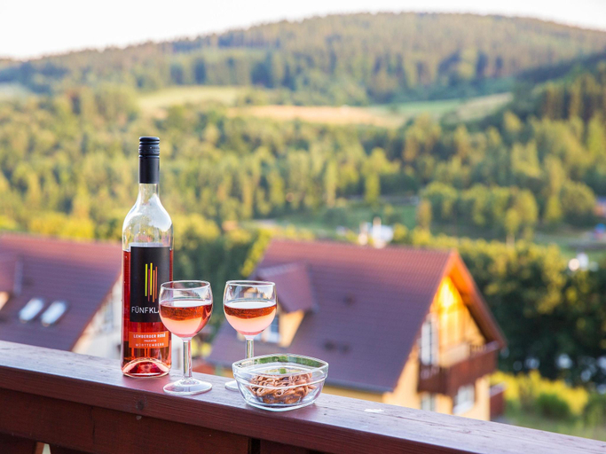 Food & Drinks 4, Villa with bubble bath, solarium and fireplace, Euskirchen