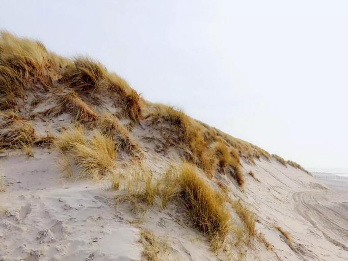 Surrounding environment 3, Restful Dune Chalet in Hollum, Ameland