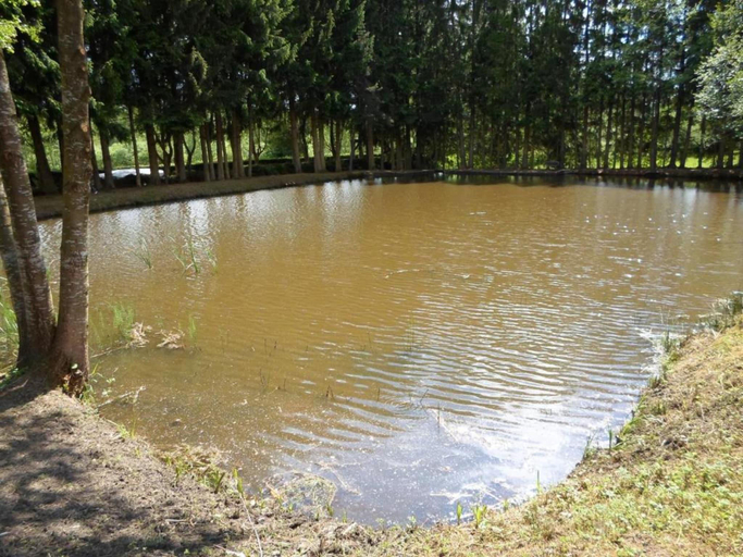 Surrounding environment 2, Lakefront Glamping w/ Pets, Vosges