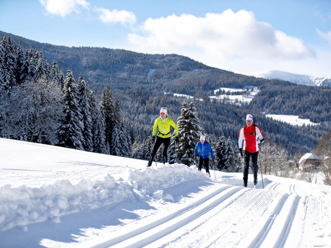 Others 4, Chalet in Austria near Ski Resort, Murau
