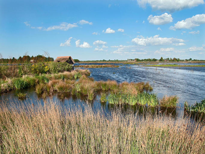 Others 3, Chalet with Hot Tub, Suwald, Tytsjerksteradiel