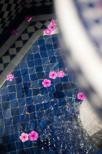 Sport & Beauty 5, riad 4 jardins, Marrakech