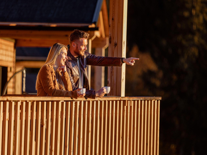 Food & Drinks 5, Luxury chalet with dishwasher in the area, Hermagor