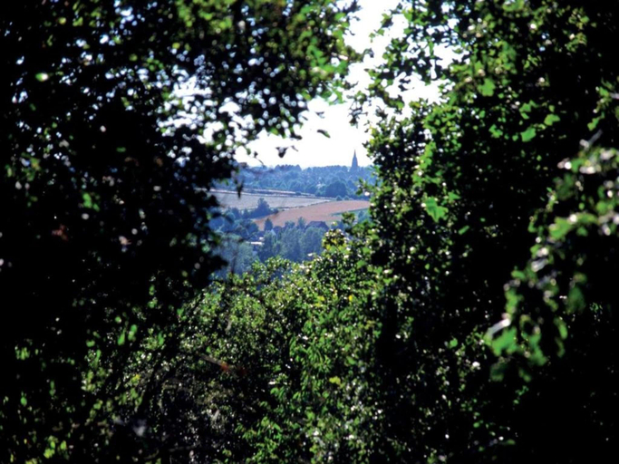 Surrounding environment 5, Villa in Arcen with bath and combi microwave, Arcen en Velden