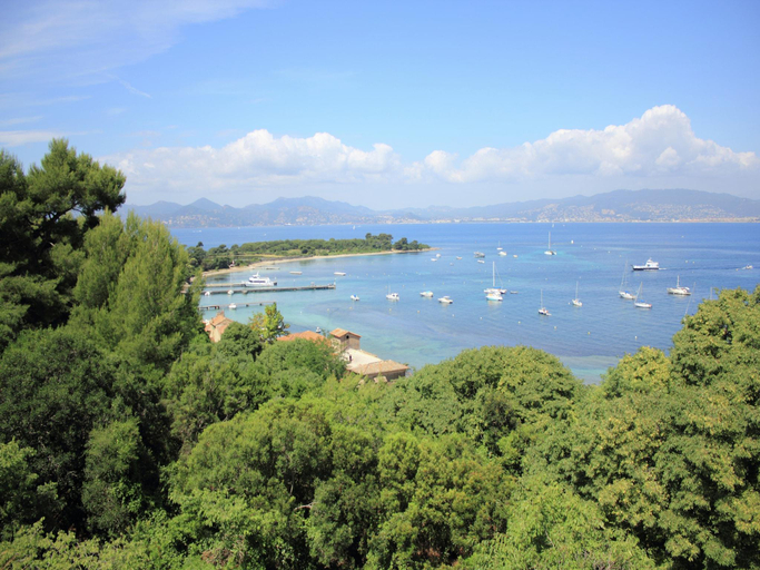 Surrounding environment 1, Scenic villa in Cannes with private pool, Alpes-Maritimes