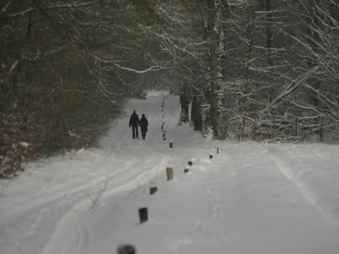 Others 5, Chalet in Ootmarsum on Kuiperberg, Dinkelland