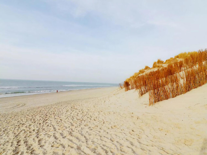 Surrounding environment 4, Restful Dune Chalet in Hollum, Ameland
