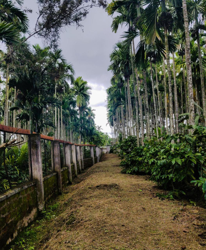Others 3, Dubare Inn Coorg, Kodagu