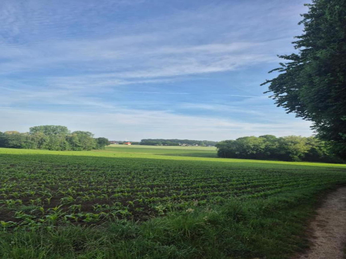 Surrounding environment 3, Relaxing Countryside Villa, Grafschaft Bentheim