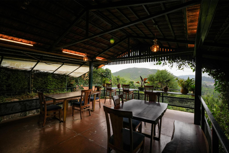 Food & Drinks, The Tamarillo, The Nilgiris