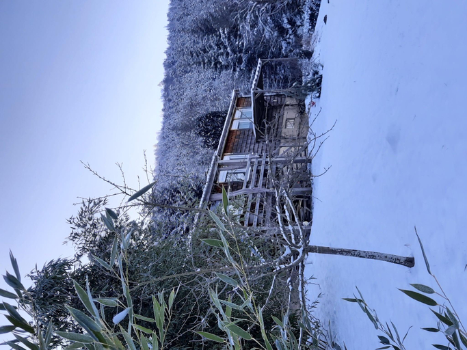 View 2, Chalet in Raon-l'Étape near Lake, Vosges