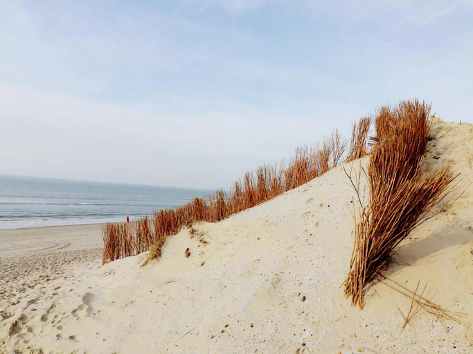 Surrounding environment 5, Restful Dune Chalet in Hollum, Ameland