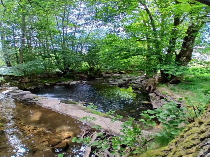 Surrounding environment 4, Chalet in St Maurice near Ballon d'Alsace, Vosges