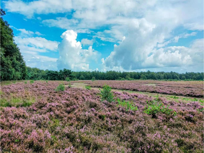Surrounding environment 2, Wellness Stay with Sauna, Borger-Odoorn