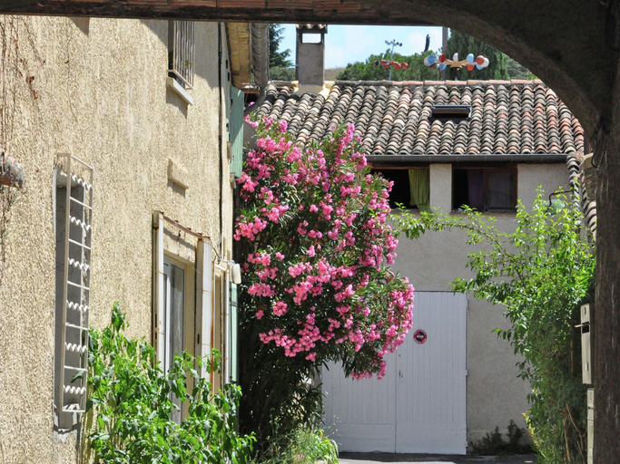 Surrounding environment 3, Villa in Malaucene Near Mount Ventoux, Vaucluse