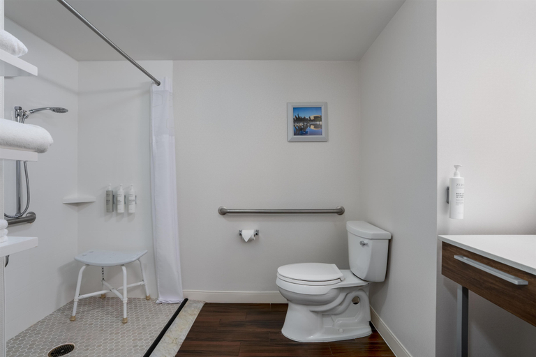 Bathroom 4, Hampton Inn & Suites Albany-Downtown, Albany