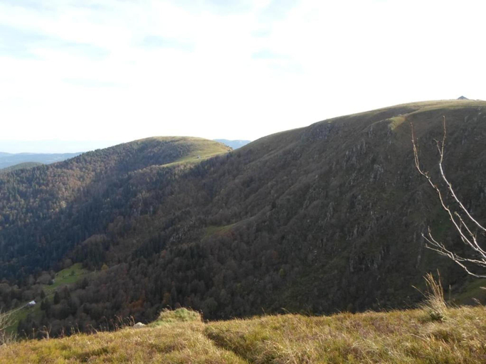 Surrounding environment 5, Lakefront Glamping w/ Pets, Vosges