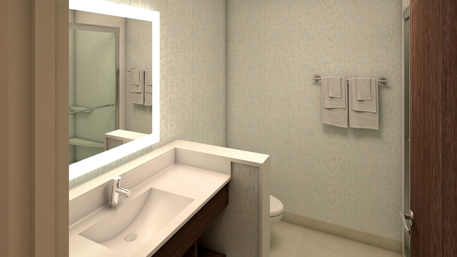 Bathroom 4, Holiday Inn Express & Suites BRASELTON WEST by IHG, Jackson