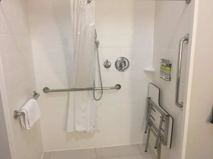 Bathroom, Holiday Inn Express & Suites BRENHAM SOUTH by IHG, Washington