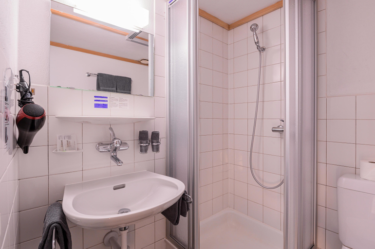 Bathroom 5, Jungfrau Lodge Swiss Mountain, Interlaken