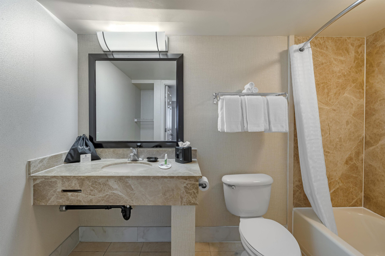 Bathroom 3, Best Western Hesperia-Victorville Suites, San Bernardino