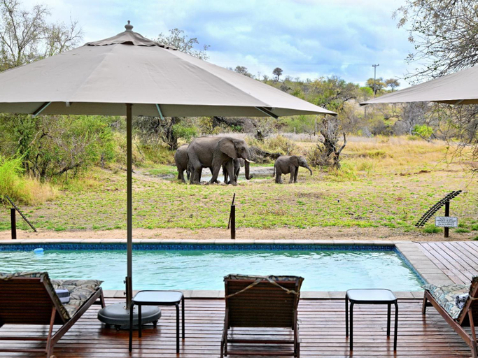 Sport & Beauty 2, Masodini Game Lodge, Mopani