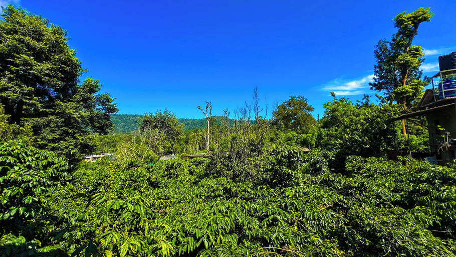 Others 5, The Rain Tree Resort, Wayanad