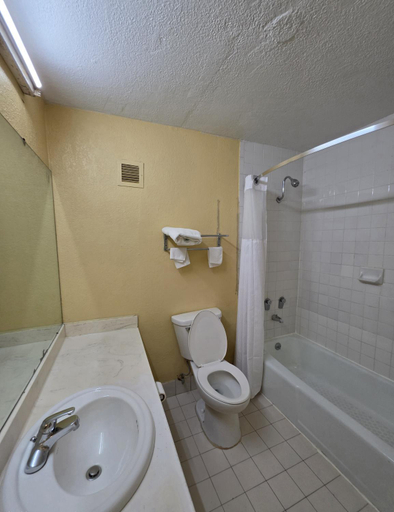 Bathroom 2, Economy Inn, Allen