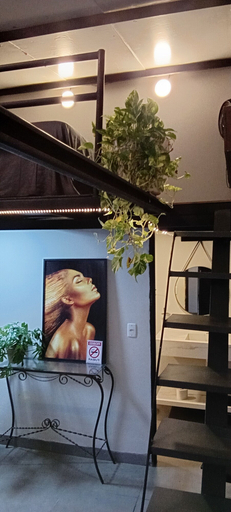 Interior 3, Garden Monte Líbano, Rondonópolis