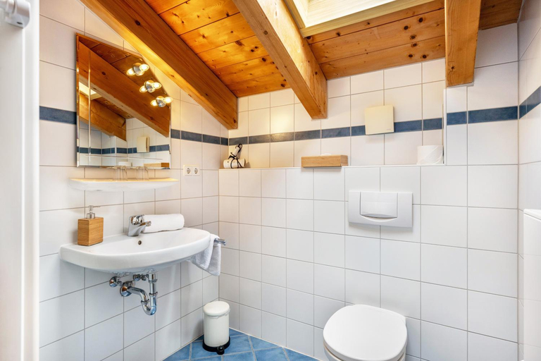 Bathroom 2, Gastehaus Tanneck mit Hallenbad, Traunstein