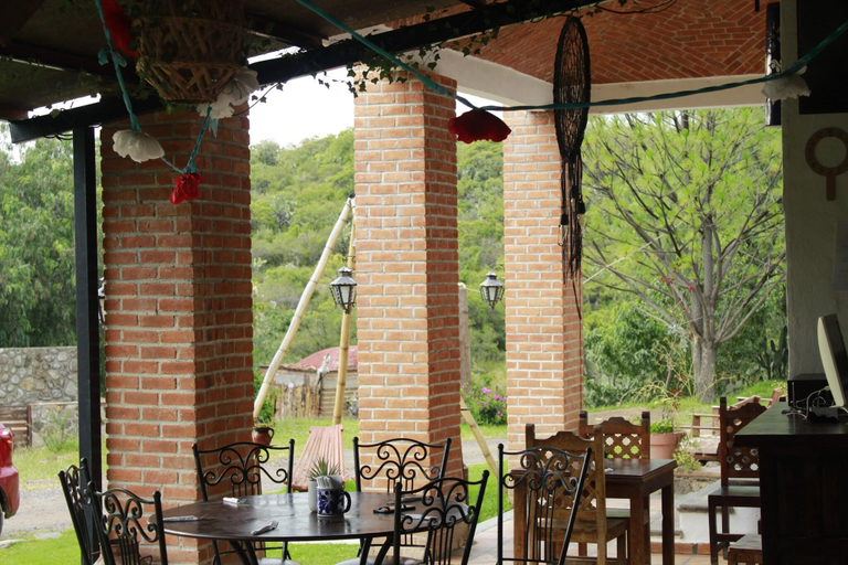 Food & Drinks 4, Echological, Lagos de Moreno