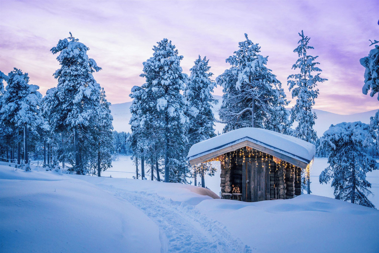 Exterior & Views 2, Kelo Resort, Lapland