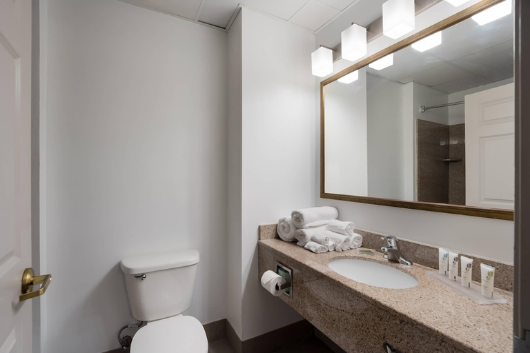 Bathroom 4, Country Inn & Suites by Radisson, Augusta at I-20, GA, Richmond