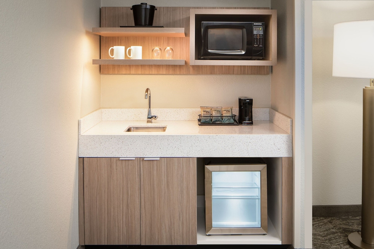 Others 5, SpringHill Suites Dallas Downtown / West End, Dallas
