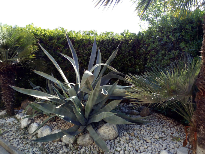 Others 4, Villa Paeonia, Salerno