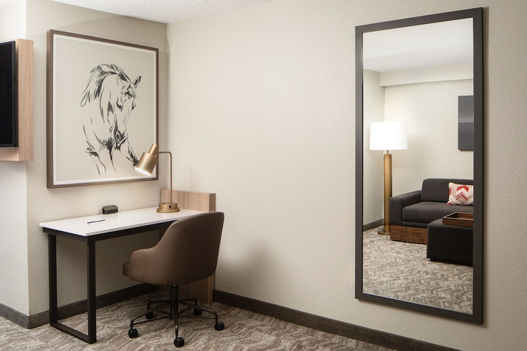 Others 5, SpringHill Suites Dallas Downtown / West End, Dallas