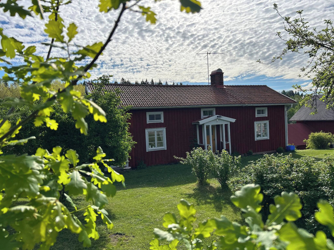 Primary image