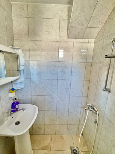 Bathroom 3, Apartments Zeneva
