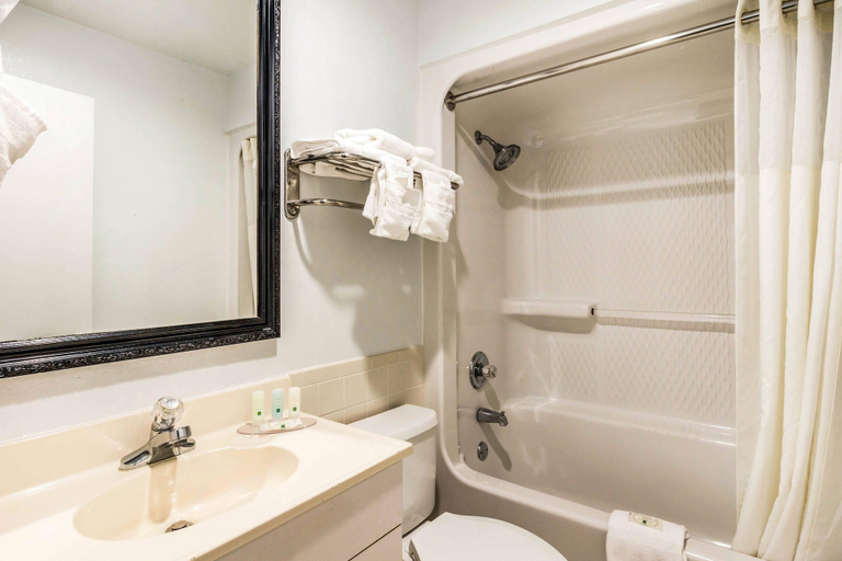 Bathroom 4, Quality Inn near Six Flags, Douglas