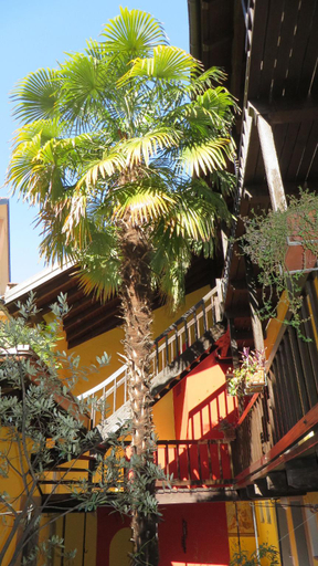 Exterior & Views 2, Residenza Motta, Locarno