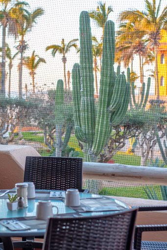 Food & Drinks 5, Posada Real Los Cabos, La Paz