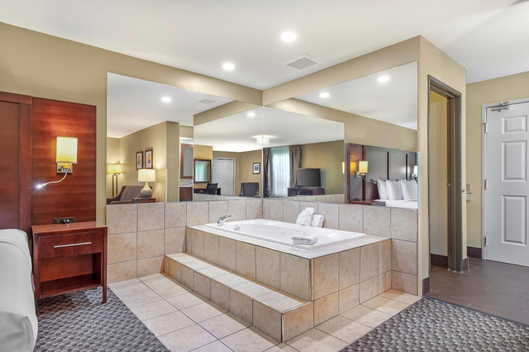 Bathroom 5, Quality Inn & Suites Ann Arbor Hwy 23, Washtenaw