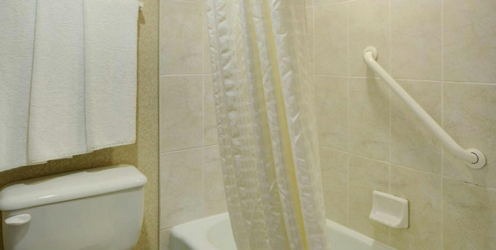 Bathroom, Greenwood Inn and Suites, Division No. 5