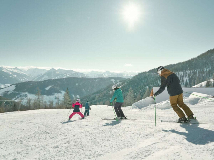 Snow and ski sports 5, Cabin in Pichl Near Schladming With Sauna, Liezen