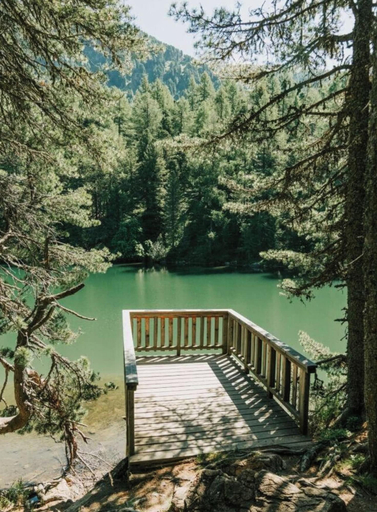 Property grounds 4, Superior Chalet # 21 With Sauna & Hot Tub, Murau