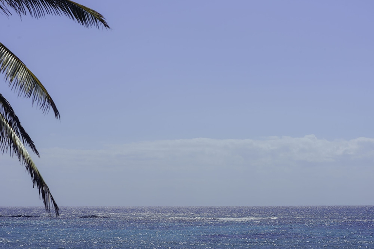 Others 3, Villas De Rosa Beach Resort, Cozumel