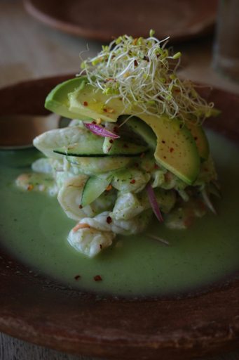 Food & Drinks 5, Punta Pajaros Hotel, Dist. Juquila