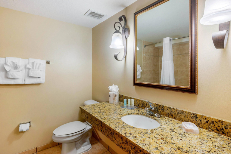 Bathroom 4, Clarion Inn Ormond Beach at Destination Daytona, Volusia